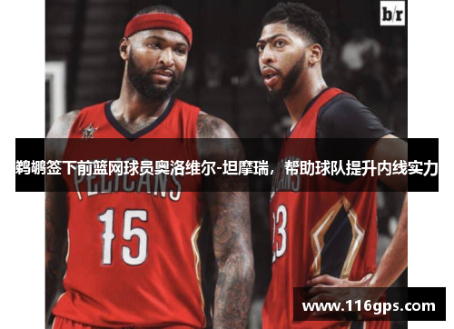 鹈鹕签下前篮网球员奥洛维尔-坦摩瑞，帮助球队提升内线实力