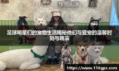 KY开元官方网站